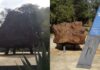 Campo del Cielo celebra el Día de los Asteroides con un legado único en el mundo