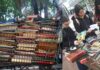 Un changuito repleto de libros conquista la peatonal de Resistencia