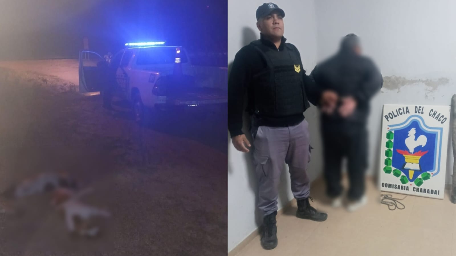 Charadai: mató a dos perros, lo confesó y quedó detenido